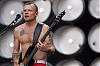 Басіст Red Hot Chili Peppers стаў студэнтам, каб навучыцца асновам музыкі