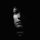 «Нястрымны пазітыў і скрышальны смутак»: Vinsent прэзентаваў новы альбом Vir 