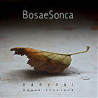  BosaeSonca      