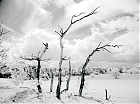Фотаграфіка Ёрга Айднэра