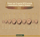 Грошы БРСМ засакрэцяць